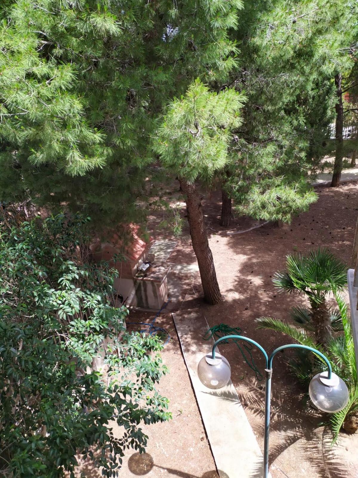 Terra Bianca Bed & Breakfast Трани Стая снимка